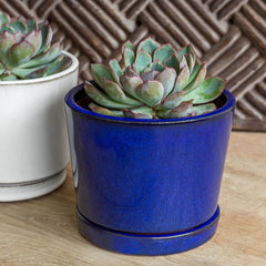 Campania I/O Series Planter - Set of 6