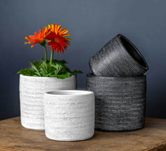 Campania Linen Weave Cylinder - Black and White Mix - Set of 8