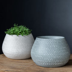 Campania Scalloped Bowl and Planter - Grey and Eggshell Mix - Set of 8