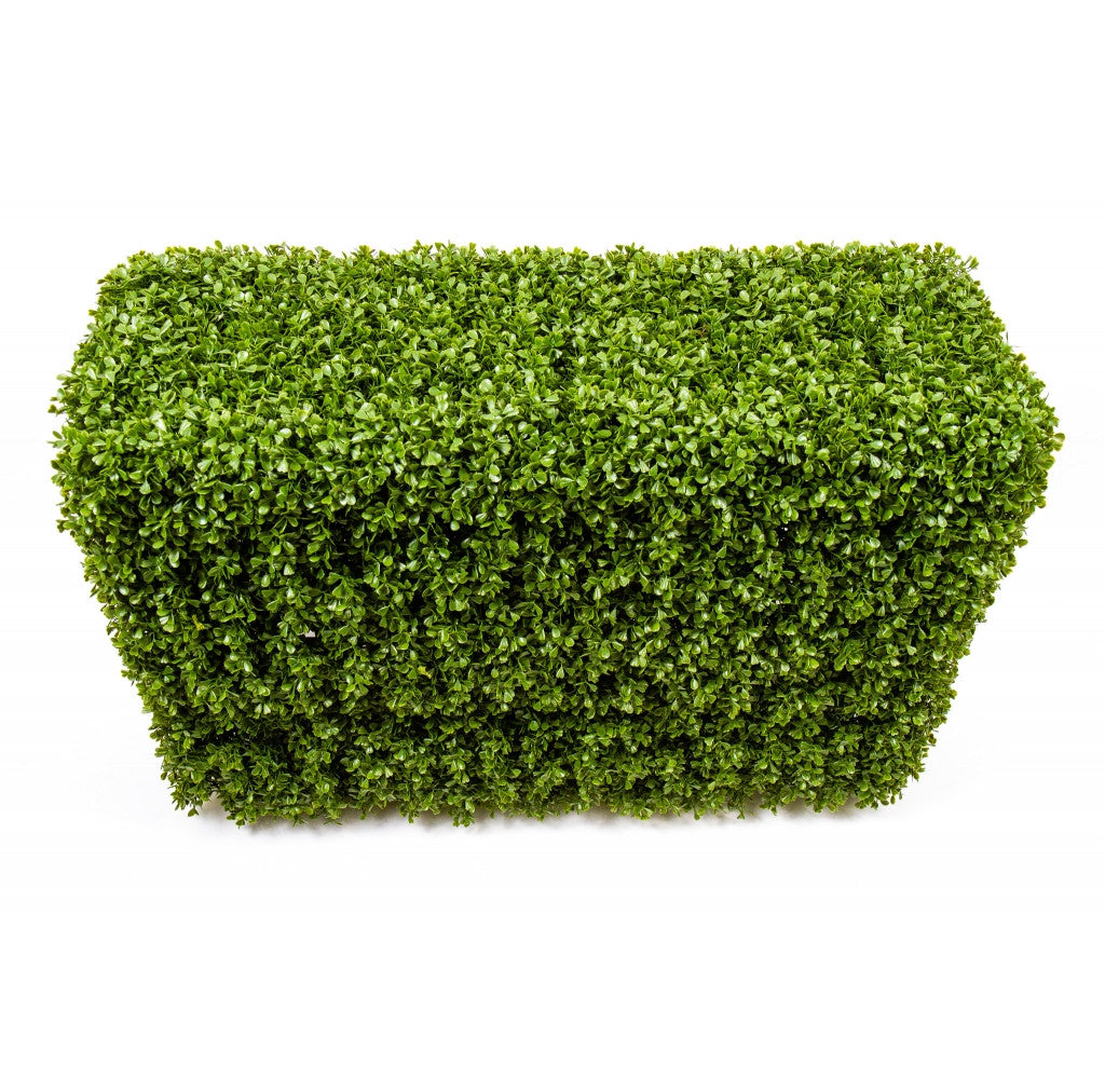 Photo of Boxwood Hedge, 36" x 12" x 24"  - Marquis Gardens