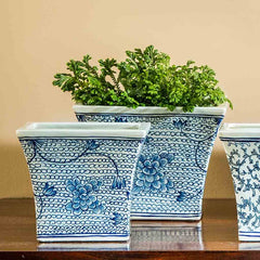 Campania Planter Blue and White Mix – Set of 6