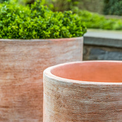 Photo of Campania Sgraffito Planter Set of 3 - Marquis Gardens