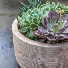 Photo of Campania Sgraffito Planter Set of 3 - Marquis Gardens