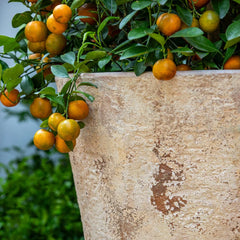 Catena Planter 24"