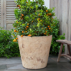 Catena Planter 24"