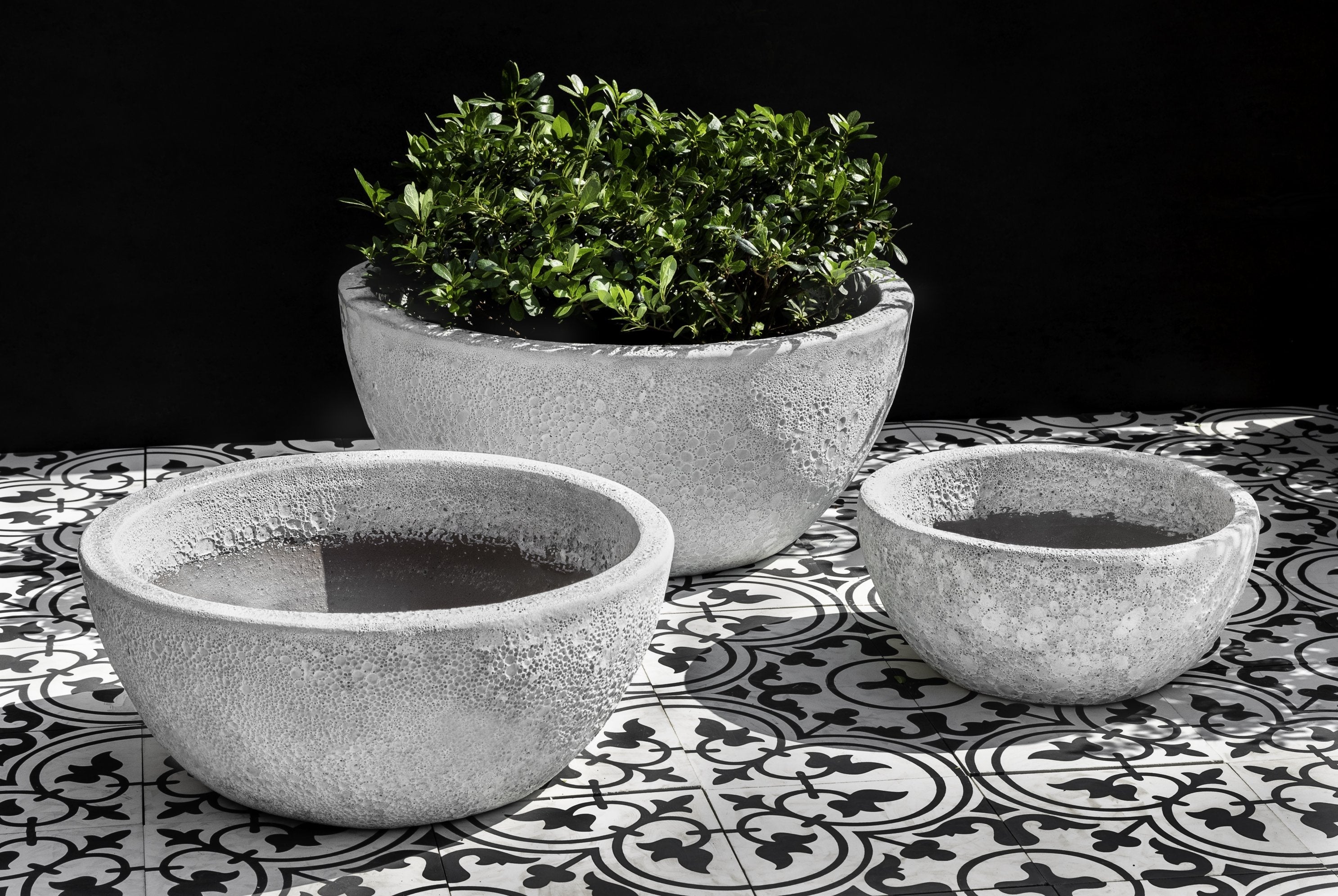Photo of Campania Mira Bowl Planter - White Coral - Set of 3 - Marquis Gardens