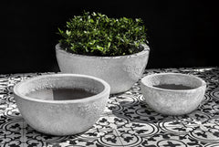 Photo of Campania Mira Bowl Planter - White Coral - Set of 3 - Marquis Gardens