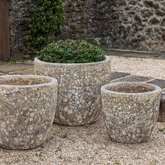Campania Caipirinha Planter – Set of 3