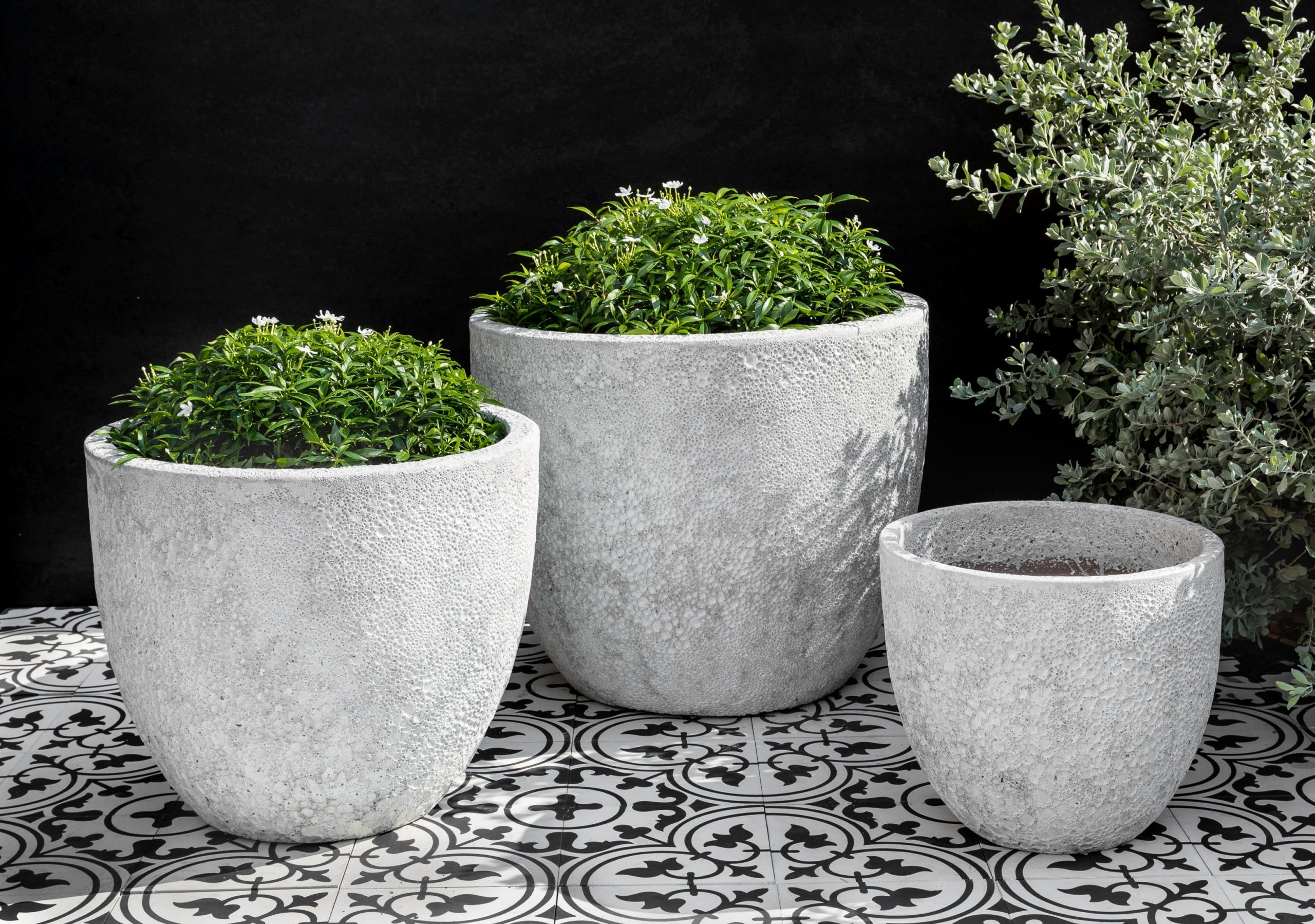 Photo of Campania Caipirinha Planter Set of 3 - Marquis Gardens