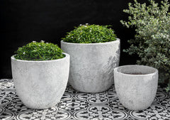 Photo of Campania Caipirinha Planter Set of 3 - Marquis Gardens