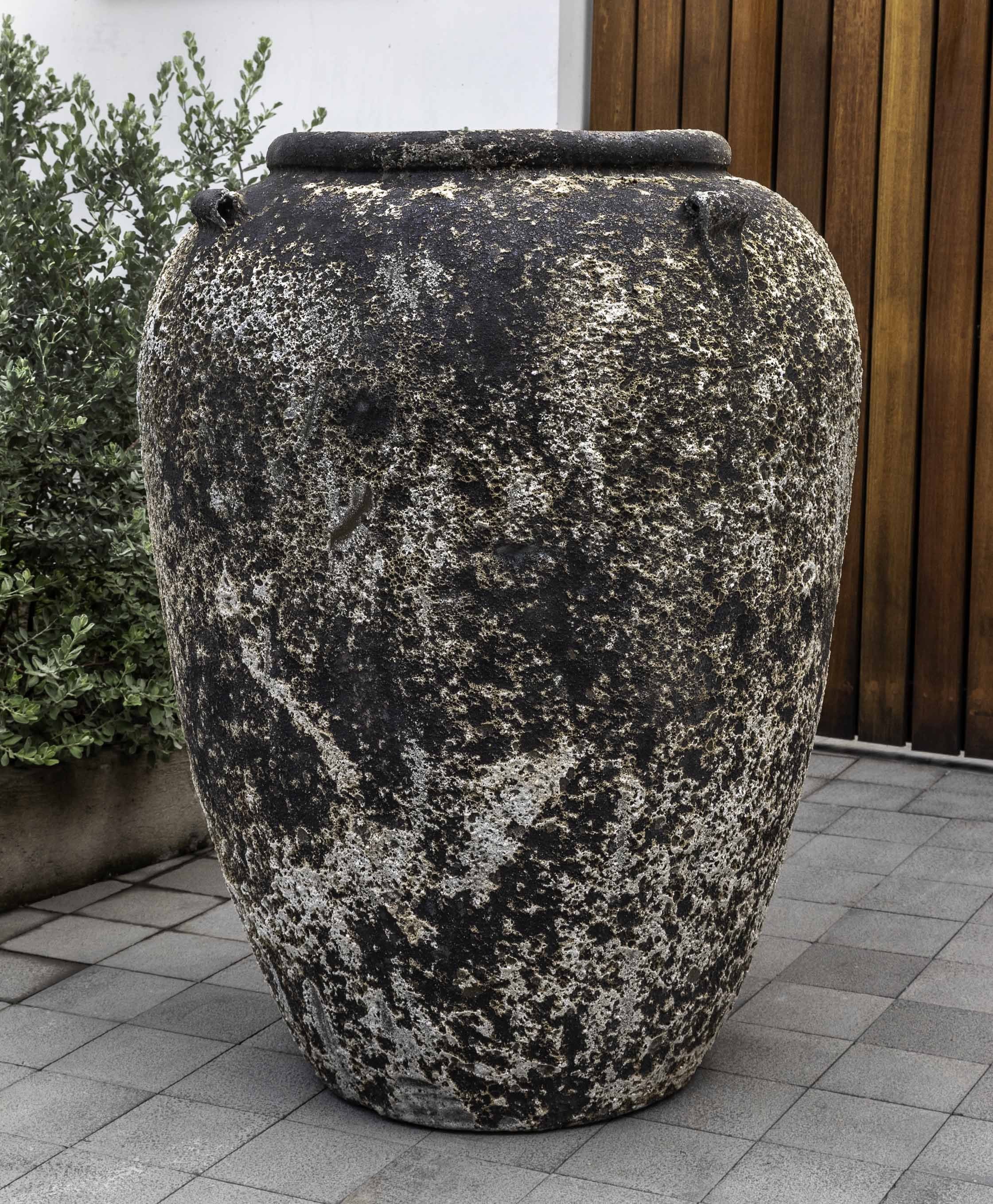 Photo of Campania Andros Jar - Aegean - Marquis Gardens