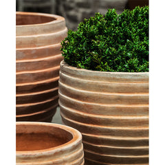 Photo of Campania Elia Planter - Set of 5 - Marquis Gardens