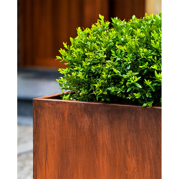 Photo of Campania Steel Tall Cube Planter - Steel - Set of 2 - Marquis Gardens