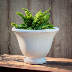 Campania Jacqueline Urn