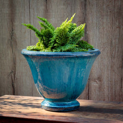 Campania Jacqueline Urn
