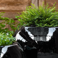 Le Monde Planter