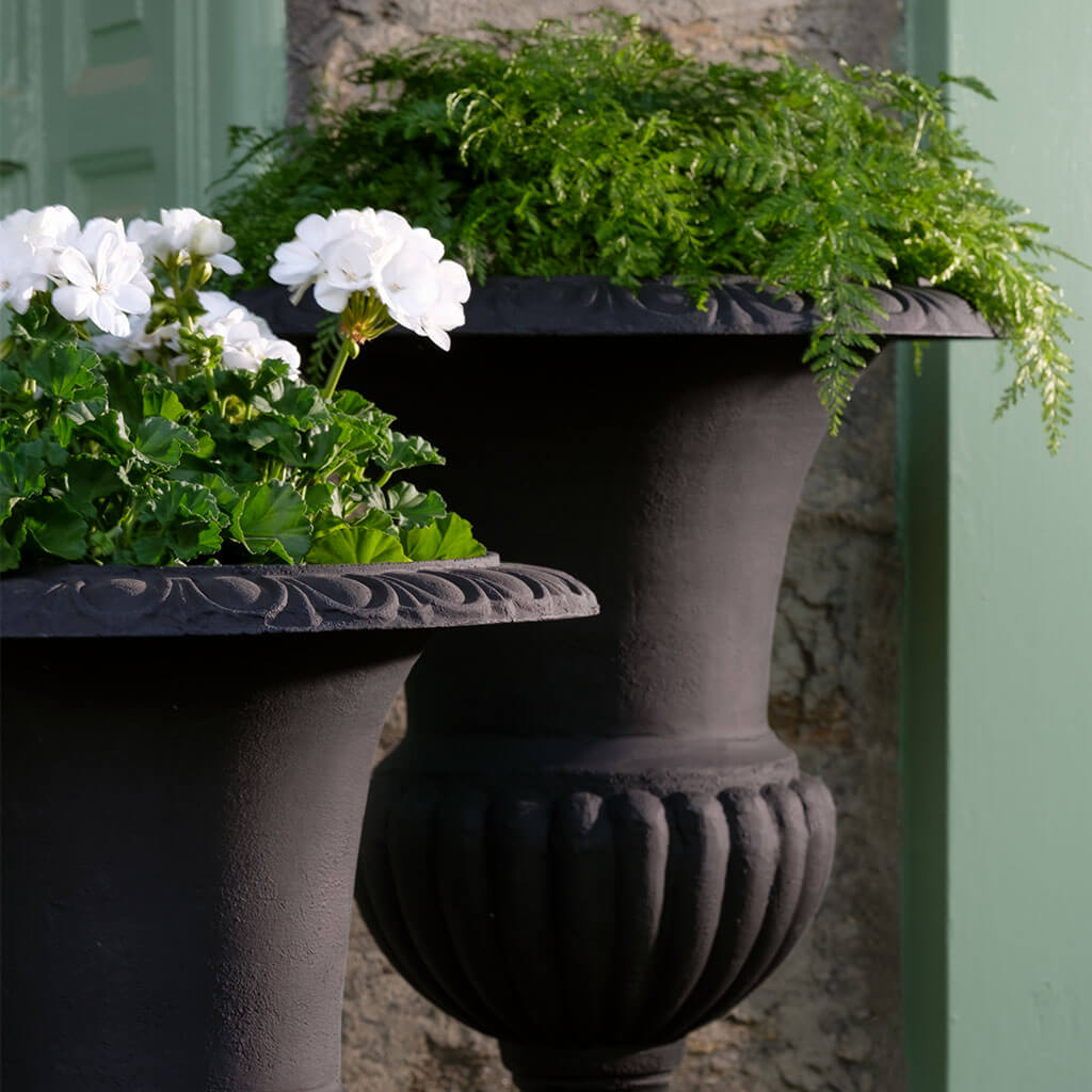 Photo of Campania Glasgow and Tall Wickford Urns - Marquis Gardens