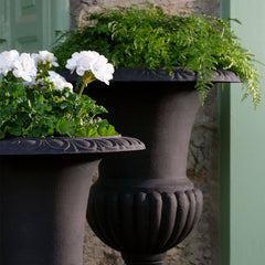 Photo of Campania Glasgow and Tall Wickford Urns - Marquis Gardens