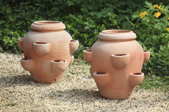 Photo of Campania Tascandi Strawberry Jar - Terra Cotta - Set of 2 - Marquis Gardens