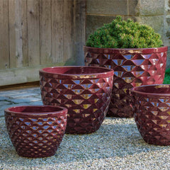 Campania Honeycomb Planter – Set of 4
