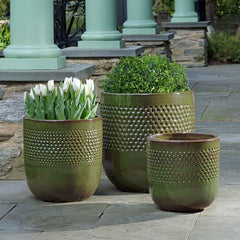 Campania Banded Coin Pot  Pine