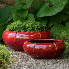 Photo of Campania Rib Vault Planters Set of 2 - Marquis Gardens