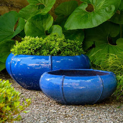 Campania Rib Vault Planter