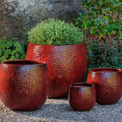 Campania Sand Dollar Planter