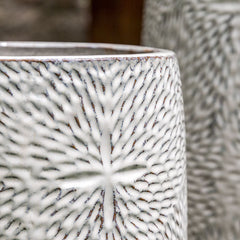 Campania Sand Dollar Planter