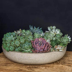 Campania Playa Bowl – Set of 4