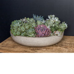Campania Playa Bowl – Set of 4