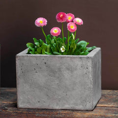 Campania Geo Planters - Fiber Cement - Set of 4