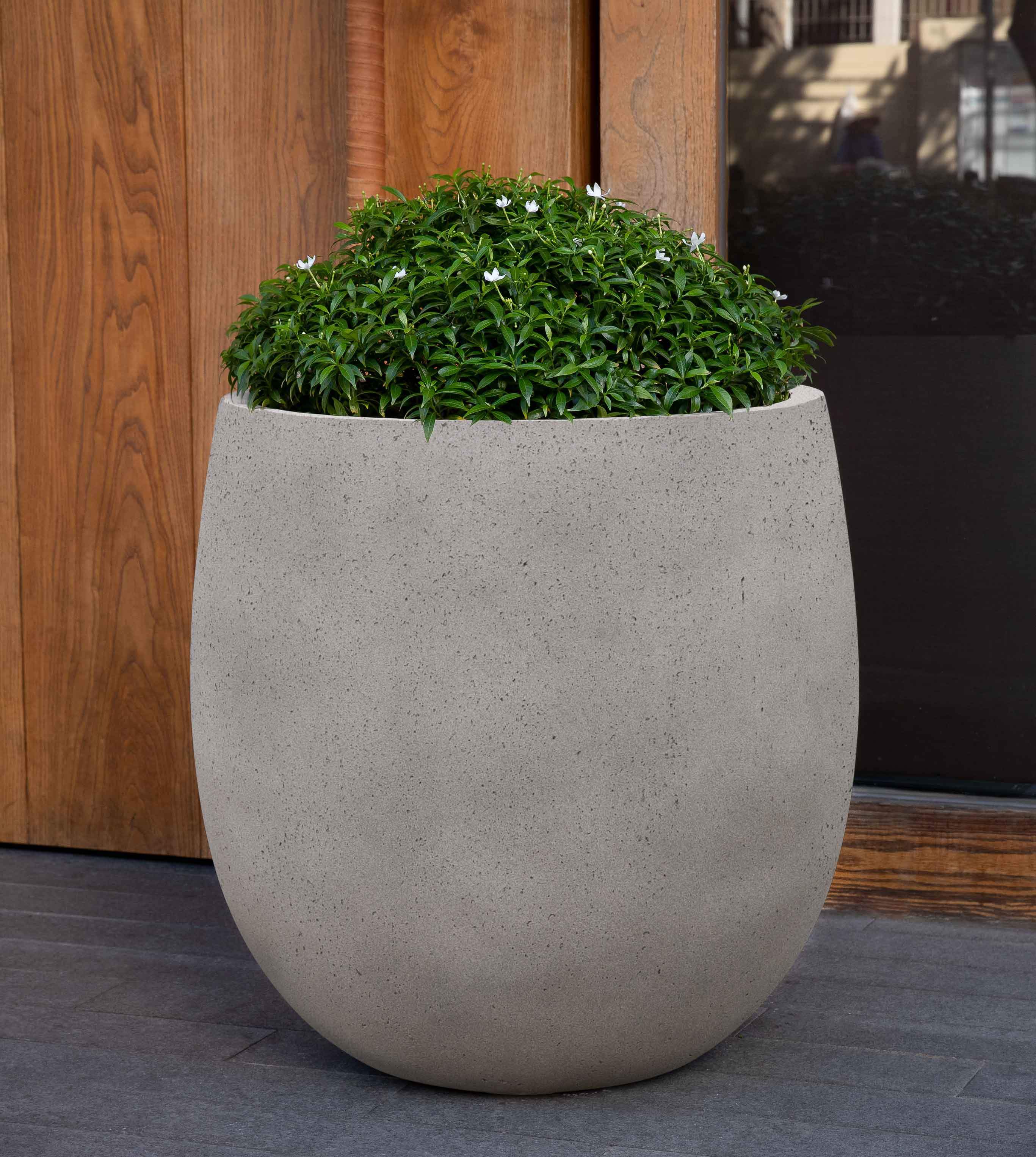 Photo of Campania Guilford Planter - Marquis Gardens