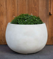 Photo of Campania Norfolk Planter - Marquis Gardens