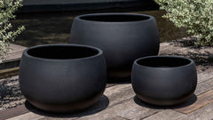 Photo of Campania Norfolk Planter - Marquis Gardens