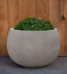 Photo of Campania Norfolk Planter - Marquis Gardens