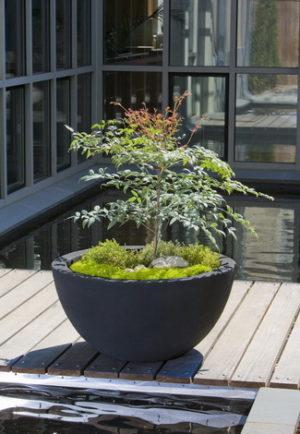 Photo of Campania Piccadilly Planters - Marquis Gardens
