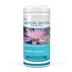 Aquascape Beneficial Bacteria for Ponds Dry