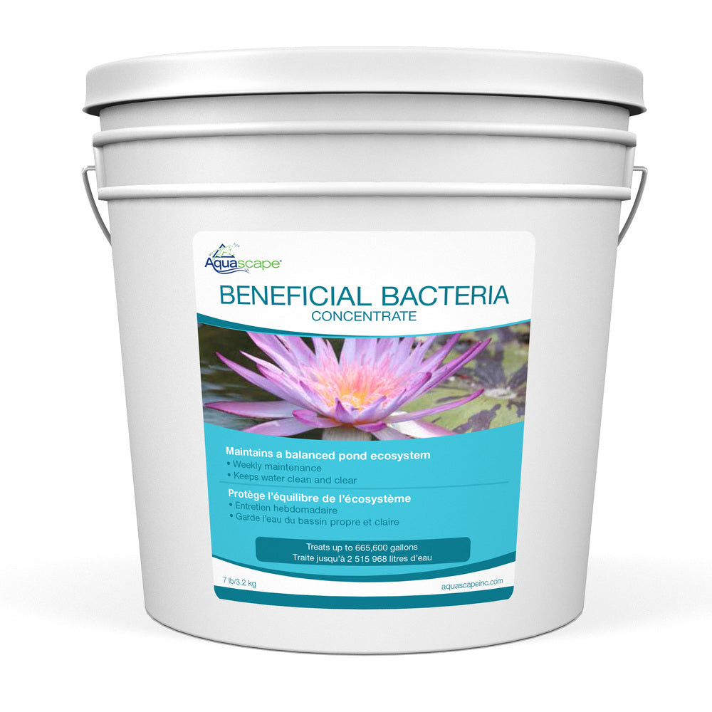 Photo of Aquascape Beneficial Bacteria for Ponds Dry - Aquascape Canada