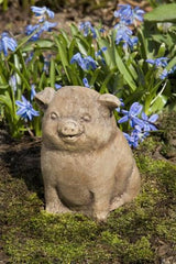 Photo of Campania Piglet - Marquis Gardens