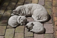 Photo of Campania Curled Dog Small - Marquis Gardens