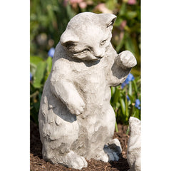 Photo of Campania Playful Kitten - Marquis Gardens