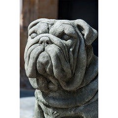 Photo of Campania Antique Bulldog - Marquis Gardens