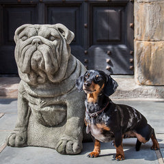 Photo of Campania Antique Bulldog - Marquis Gardens