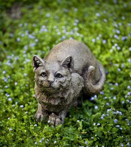Photo of Campania Patience - Marquis Gardens