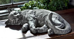 Photo of Campania Dreaming Kitty - Marquis Gardens