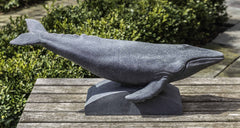 Photo of Campania Humpback Whale - Marquis Gardens
