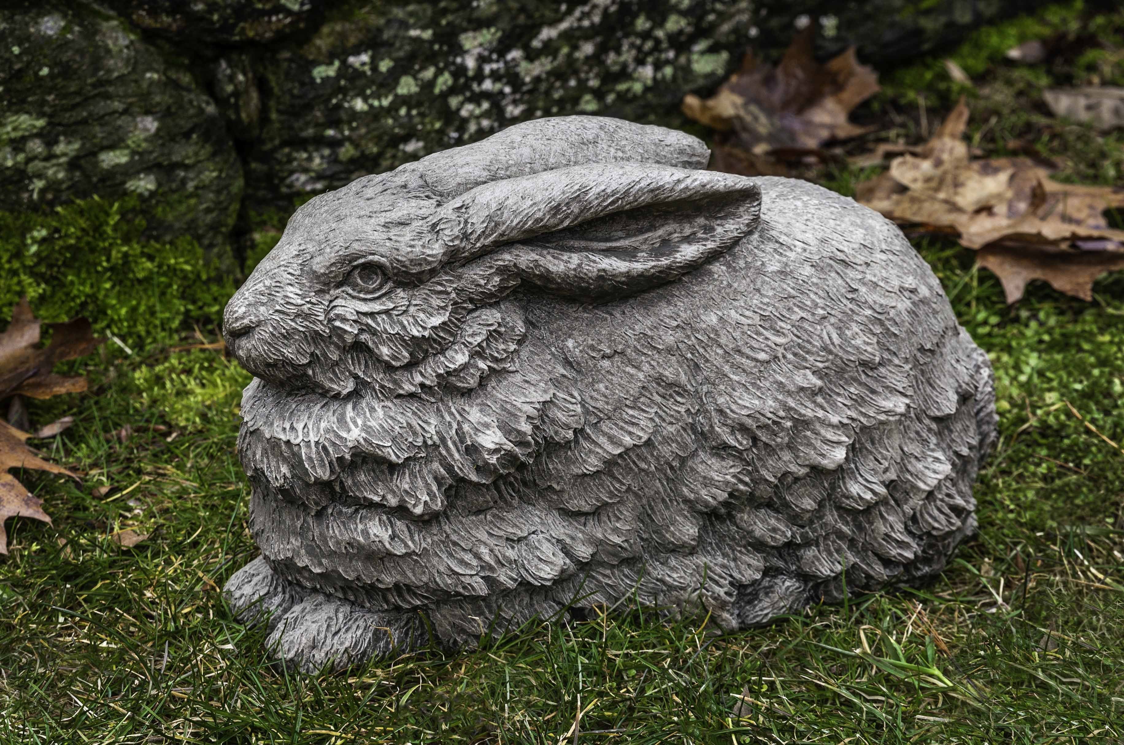 Photo of Campania Flemish Hare - Marquis Gardens