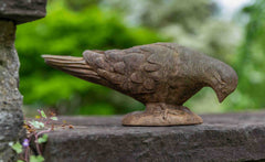 Photo of Campania French Dove - Marquis Gardens