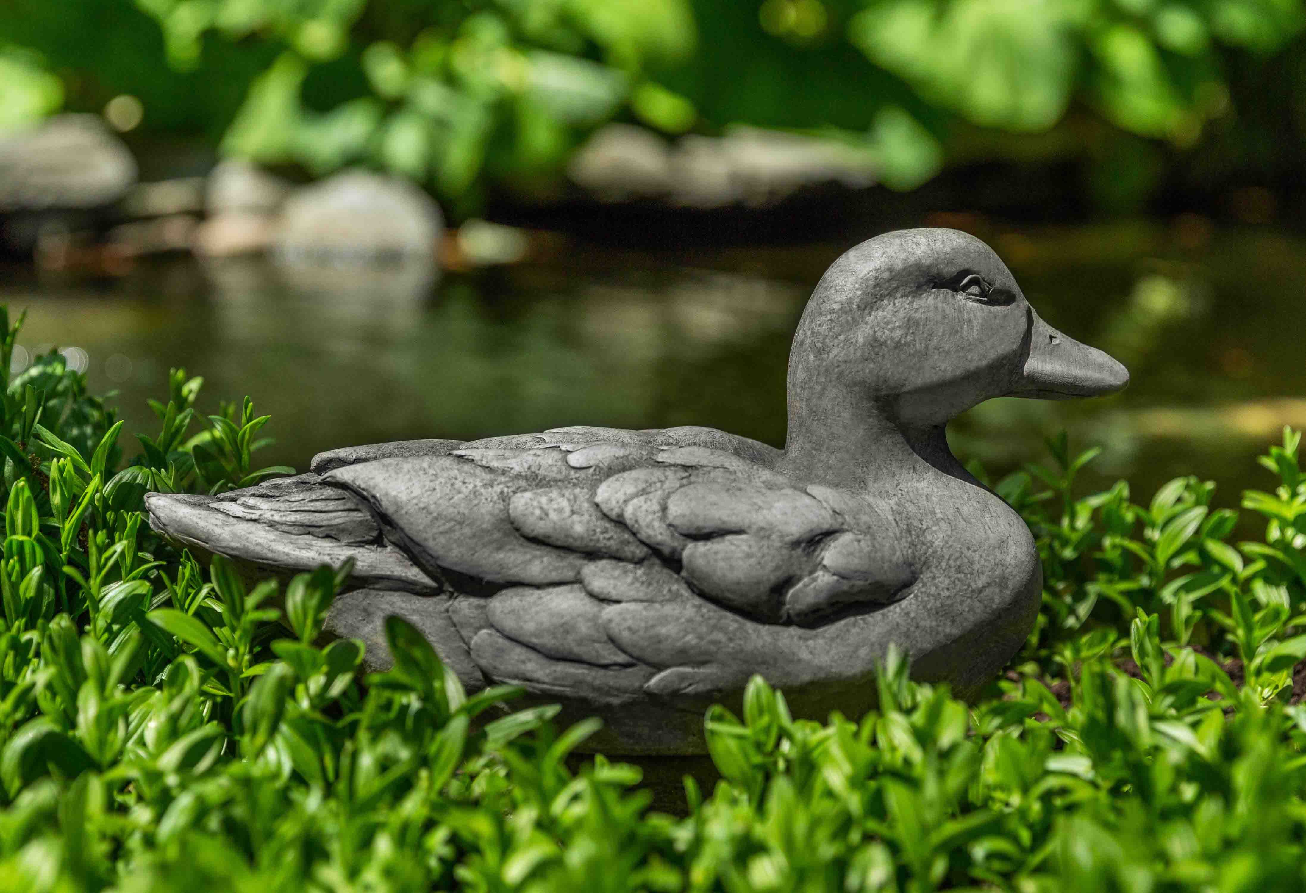 Photo of Campania Decoy Duck - Marquis Gardens